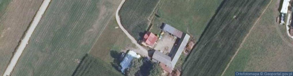 Zdjęcie satelitarne Gospodarstwo ekologiczne "Rydzewscy"