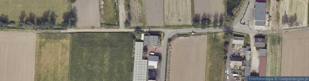 Zdjęcie satelitarne Gospodarstwo Ogrodnicze Adam Andrzejewski