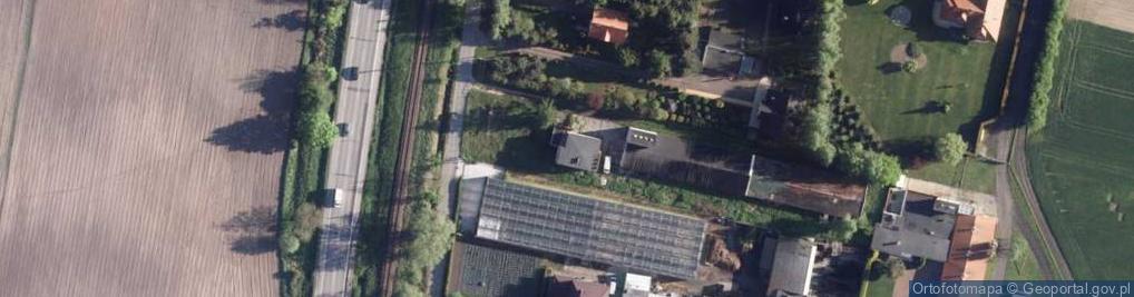 Zdjęcie satelitarne Gospodarstwo Ogrodnicze Anatol Gąsiorowska Ałła