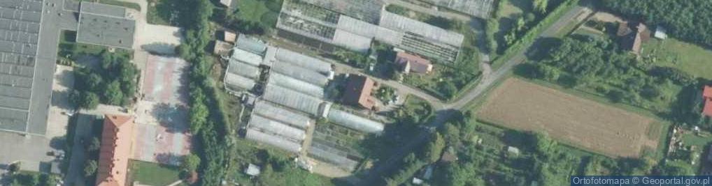 Zdjęcie satelitarne Gospodarstwo Ogrodnicze Andrzej Ludwa