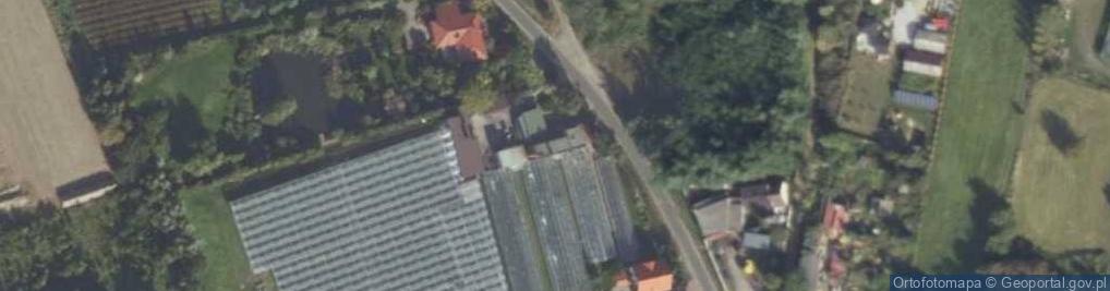 Zdjęcie satelitarne Gospodarstwo Ogrodnicze Ange Jarosław Wawrzyniak Grotniki