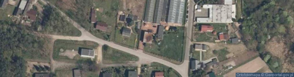 Zdjęcie satelitarne Gospodarstwo Ogrodnicze Anna Gawron