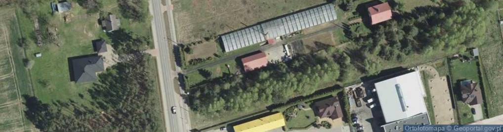Zdjęcie satelitarne Gospodarstwo Ogrodnicze Błażko Monika