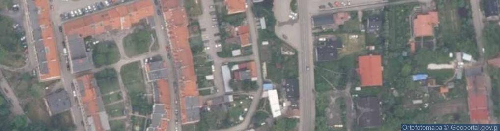 Zdjęcie satelitarne Gospodarstwo Ogrodnicze Budzisz Helena