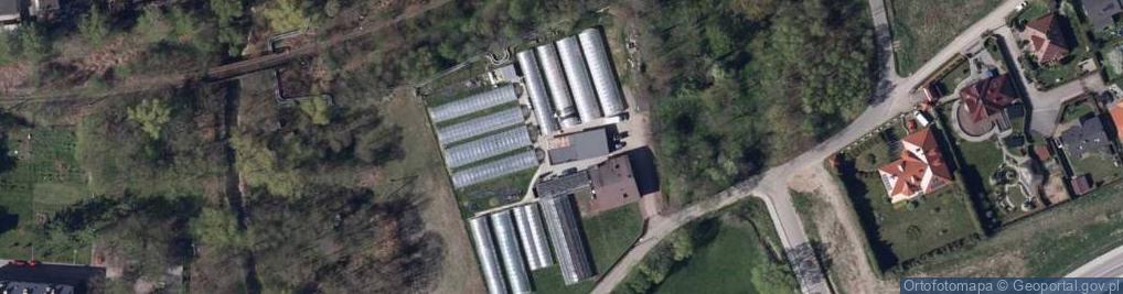 Zdjęcie satelitarne Gospodarstwo Ogrodnicze i Eugieniusz