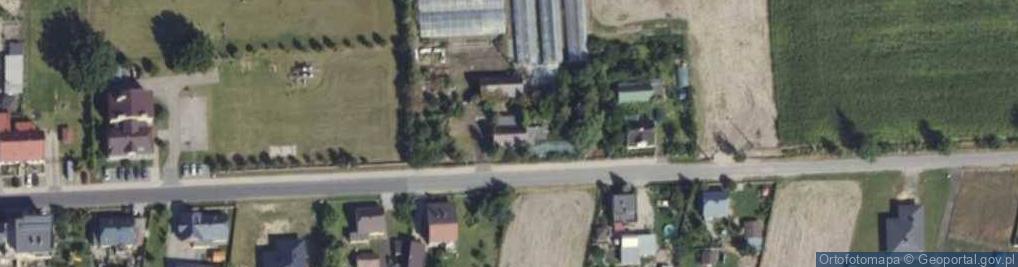 Zdjęcie satelitarne Gospodarstwo Ogrodnicze Joanna Muszyńska