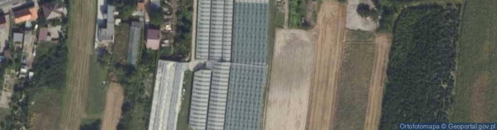 Zdjęcie satelitarne Gospodarstwo Ogrodnicze Marek i Emilia Wrzeszczyńscy
