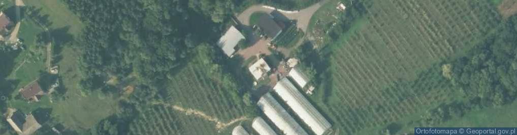 Zdjęcie satelitarne Gospodarstwo Ogrodnicze Maria Pajor