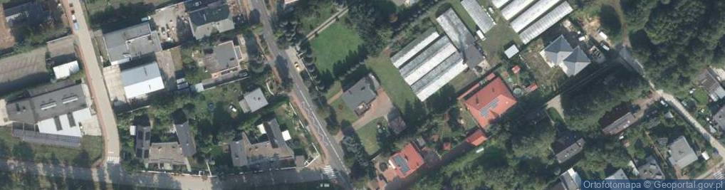 Zdjęcie satelitarne Gospodarstwo Ogrodnicze Mariusz Krzyżaniak