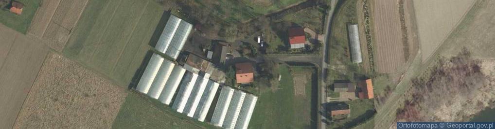 Zdjęcie satelitarne Gospodarstwo Ogrodnicze Pałkowski Bogdan