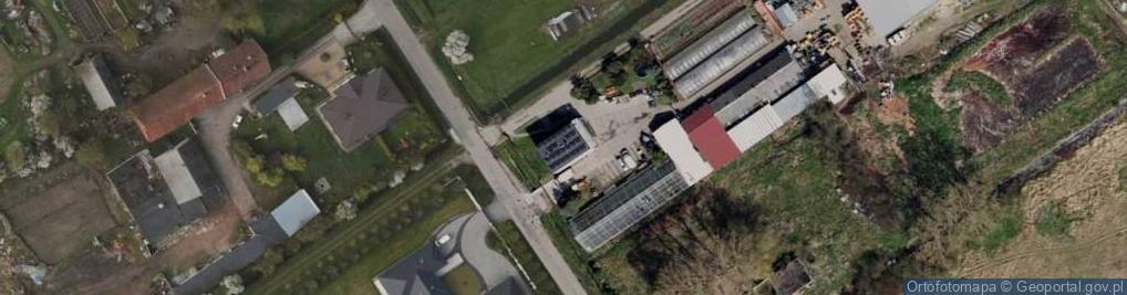 Zdjęcie satelitarne Gospodarstwo Ogrodnicze Przetwórnia Ewa i Marek Stawscy