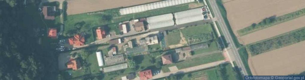 Zdjęcie satelitarne Gospodarstwo Ogrodnicze Tomasz Pajor
