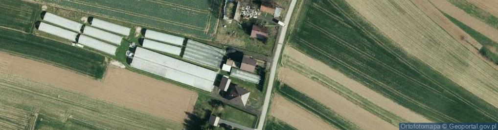 Zdjęcie satelitarne Gospodarstwo Ogrodnicze Tomasz Ziomek