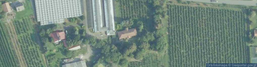 Zdjęcie satelitarne Gospodarstwo Ogrodniczo Sadownicze Marian Miłowski