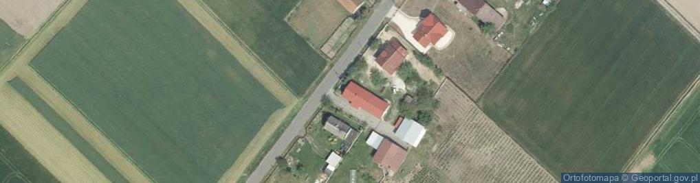 Zdjęcie satelitarne Gospodarstwo rolne Artur Urbaniak Borówka amerykańska