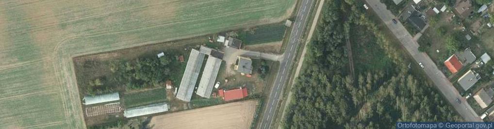 Zdjęcie satelitarne Gospodarstwo Rolne Kołacz Mirosław