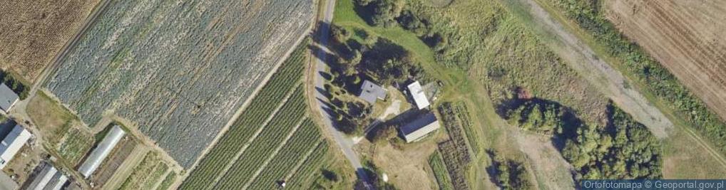 Zdjęcie satelitarne Gospodarstwo Rolne Robert Syroka