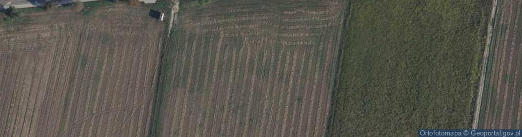 Zdjęcie satelitarne Gospodarstwo Rolno Warzywnicze Maria Bucholc Komoroska