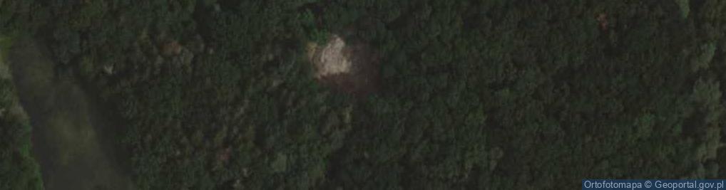Zdjęcie satelitarne Gospodarstwo Rybackie Zbąszyń