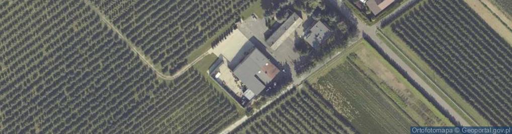 Zdjęcie satelitarne Gospodarstwo Sadownicze Michalski Zbigniew