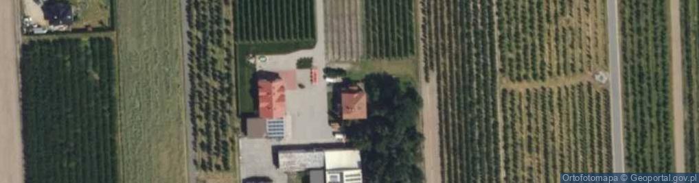 Zdjęcie satelitarne Gospodarstwo Sadownicze