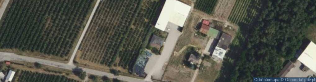 Zdjęcie satelitarne Gospodarstwo Sadownicze