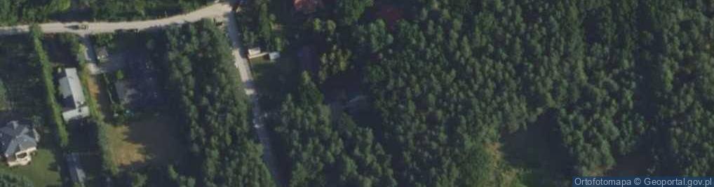 Zdjęcie satelitarne Grape Roman Śrubarski