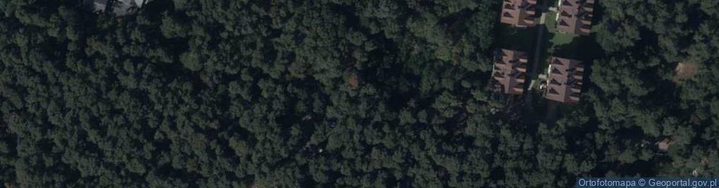 Zdjęcie satelitarne Greg Sitek Grzegorz Bąk Andrzej