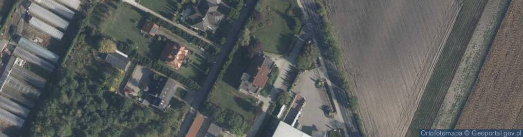 Zdjęcie satelitarne Gro Pol Szkółka Drzew i Krzewów Grodzki Paweł