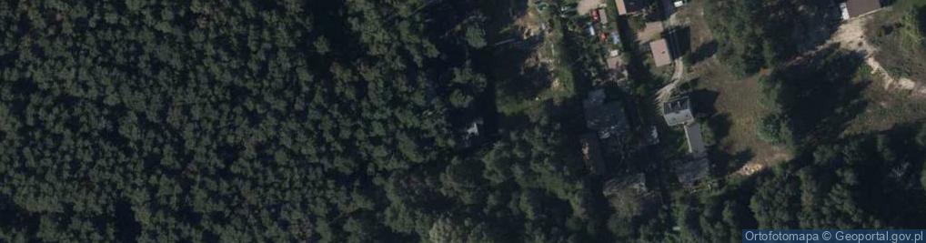 Zdjęcie satelitarne Grzegirz Władziński