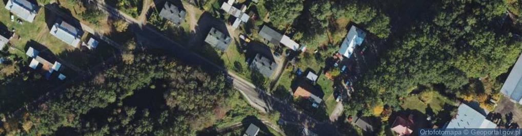 Zdjęcie satelitarne Grzyby Marian Najdowski