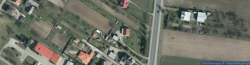 Zdjęcie satelitarne Halina Tama - Działalność Gospodarcza
