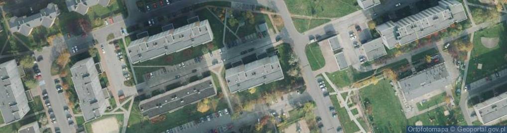 Zdjęcie satelitarne Halina Tyrek - Działalność Gospodarcza