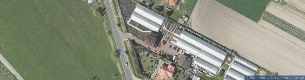 Zdjęcie satelitarne Handel Artykułami Przemysłowymi