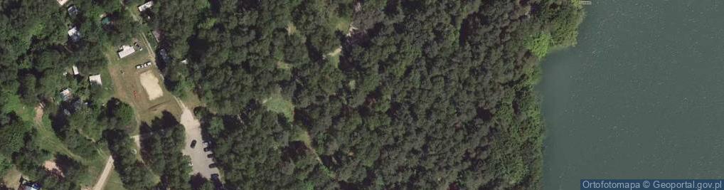 Zdjęcie satelitarne Handel Artykułami Spożywczymi i Przemysłowymi