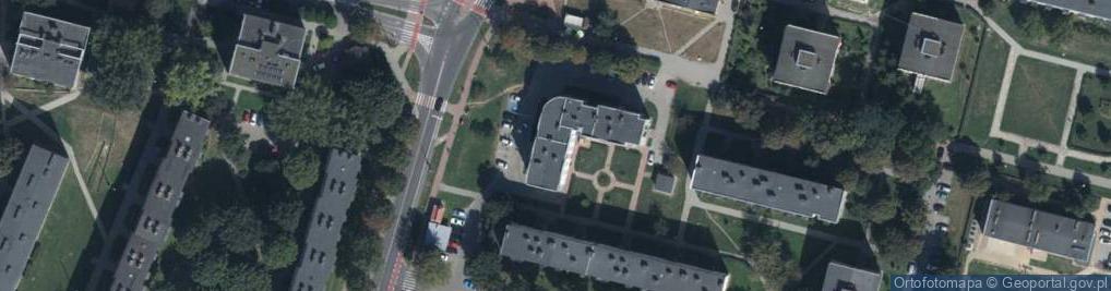 Zdjęcie satelitarne Handel Detaliczny
