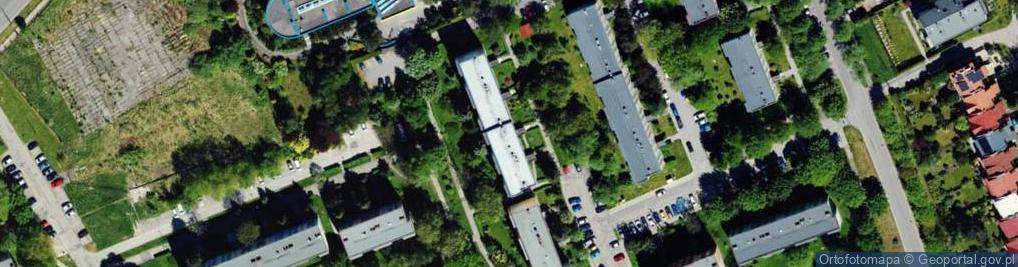 Zdjęcie satelitarne Handel Detaliczny