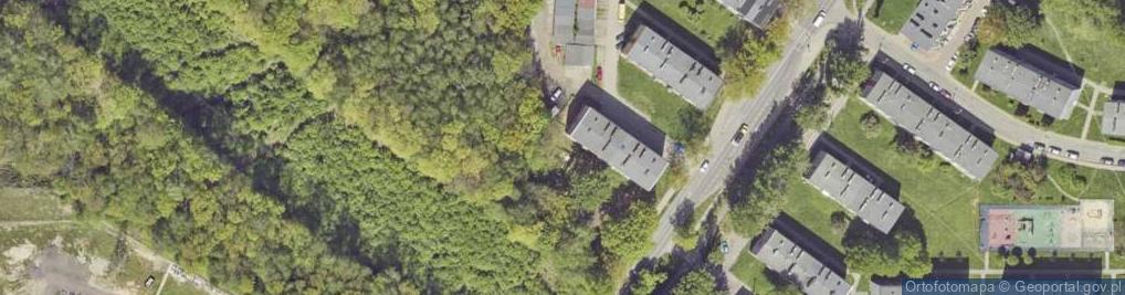 Zdjęcie satelitarne Handel Obwoźny Transport