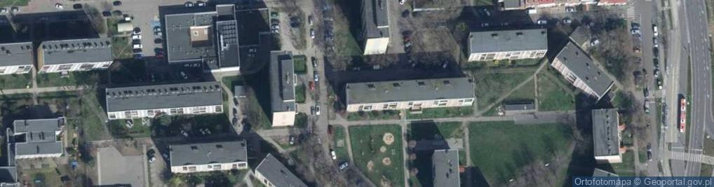 Zdjęcie satelitarne Handel Obwoźny