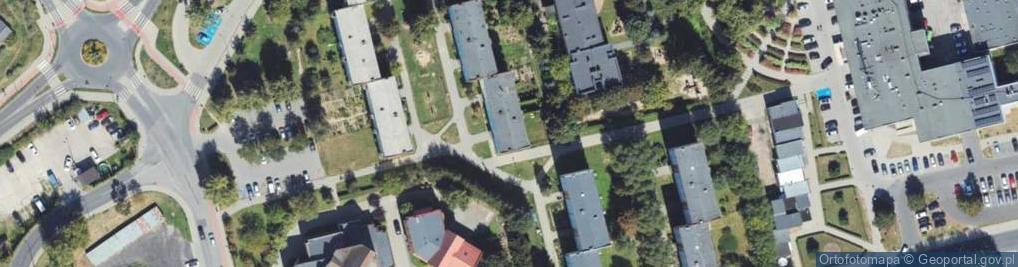 Zdjęcie satelitarne Handel Obwoźny