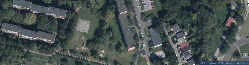 Zdjęcie satelitarne Handel Obwoźny