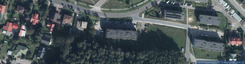 Zdjęcie satelitarne Handel Obwoźny