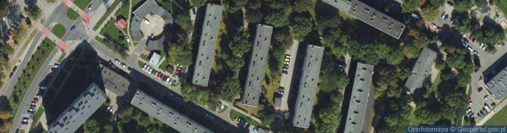 Zdjęcie satelitarne Handel Obwoźny