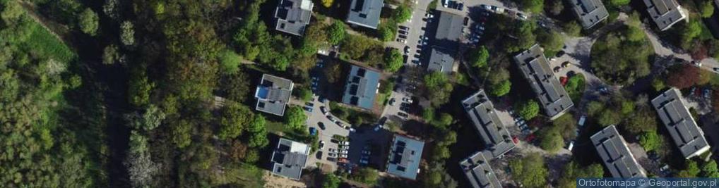 Zdjęcie satelitarne Handel Obwoźny