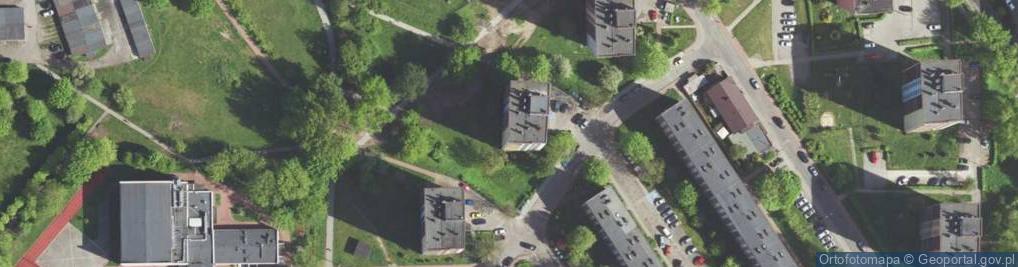 Zdjęcie satelitarne Handel Obwoźny