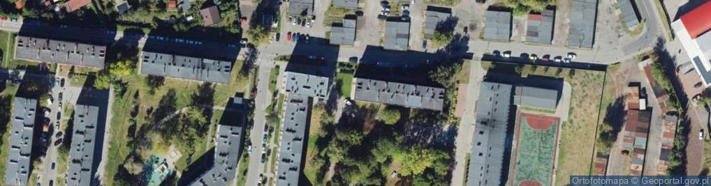 Zdjęcie satelitarne Handel Obwoźny