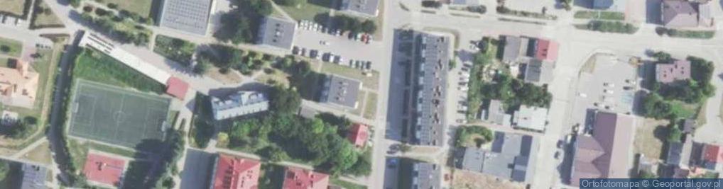 Zdjęcie satelitarne Handel Obwoźny