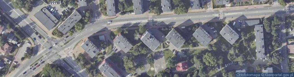Zdjęcie satelitarne Handel Obwoźny