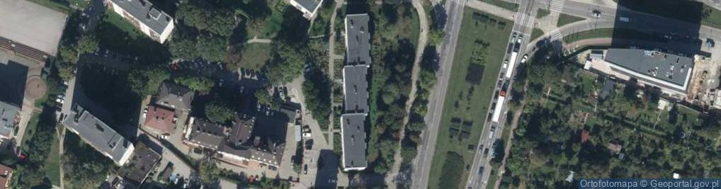 Zdjęcie satelitarne Handel Obwoźny