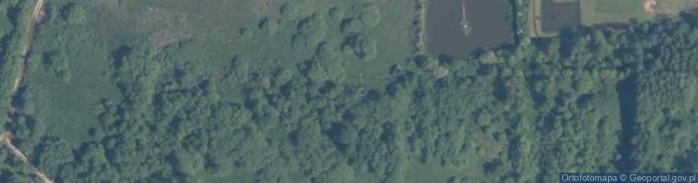 Zdjęcie satelitarne Handel Obwoźny